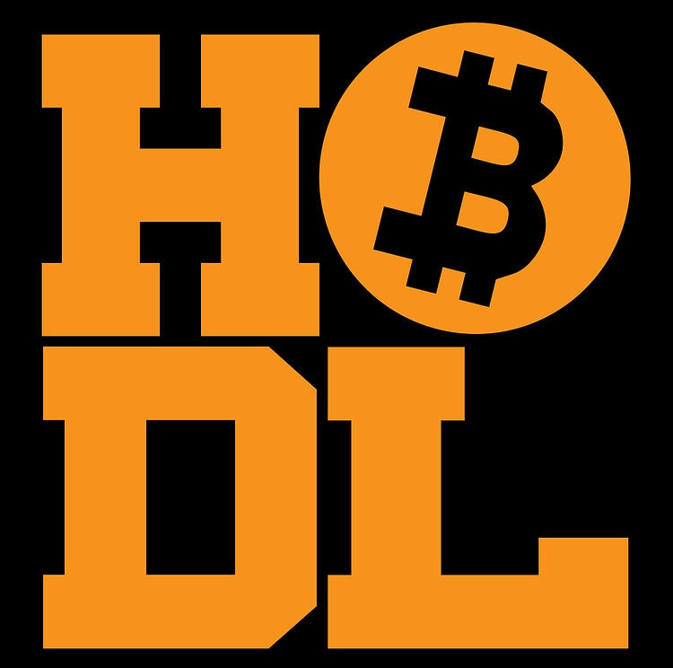 ビットコインHODOL